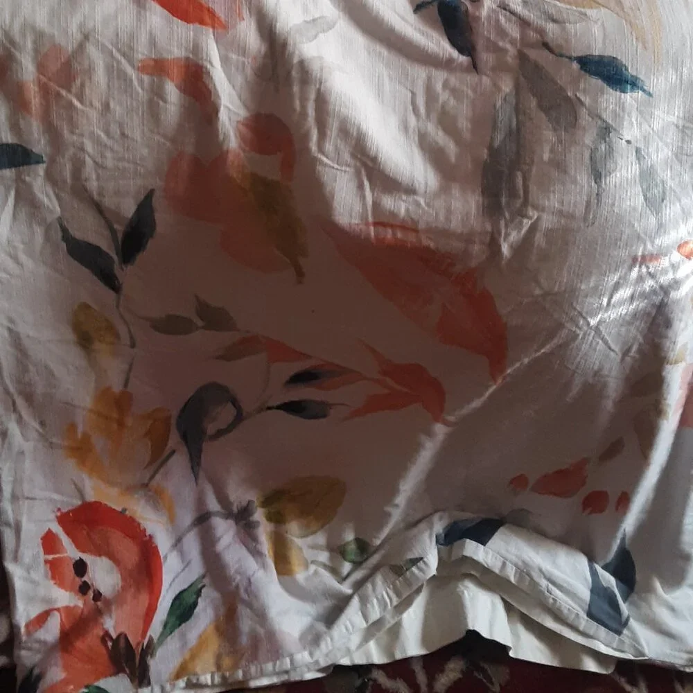 Anthropologie Botanical Queen Duvet Cover Set. Duvet Cover PLUS 2 Euro Shams